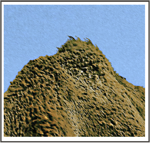 slideshow